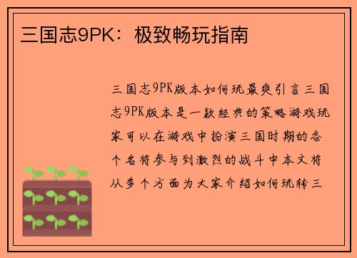 三国志9PK：极致畅玩指南